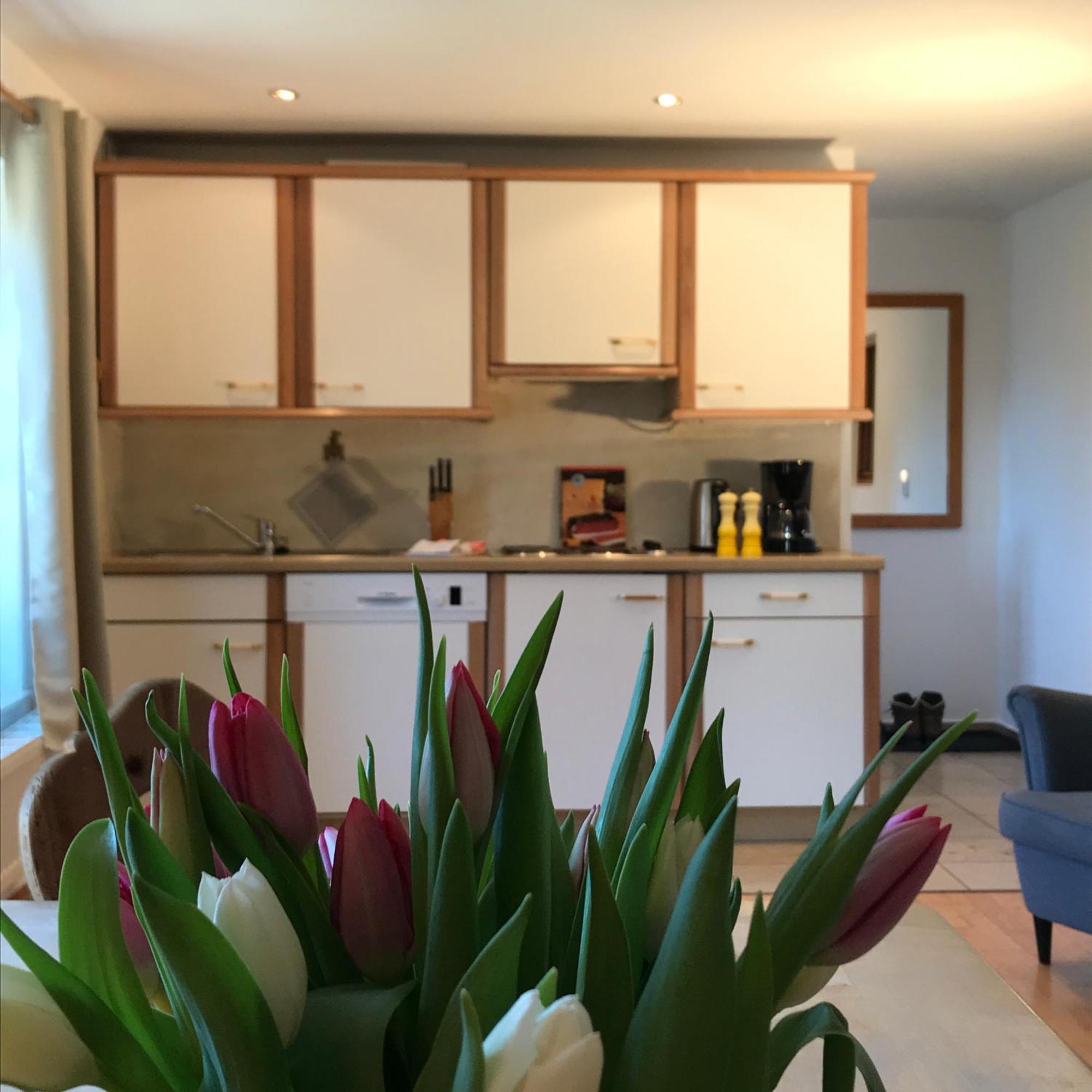 שליירסי Gaestehaus Hotel Maria Theresia מראה חיצוני תמונה